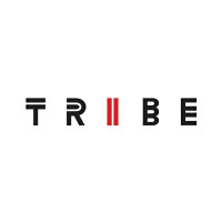 Умная электроника Tribe_USD