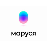 Умная электроника и гаджеты VK