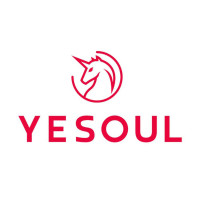 Умная электроника Yesoul