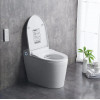 Напольный унитаз-биде BRUNNEN WAL BW-2402 Auto Open/Close