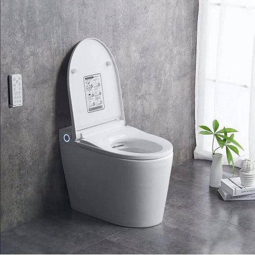 Напольный унитаз-биде BRUNNEN WAL BW-2402 Auto Open/Close