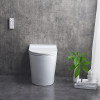 Напольный унитаз-биде BRUNNEN WAL BW-2402 Auto Open/Close