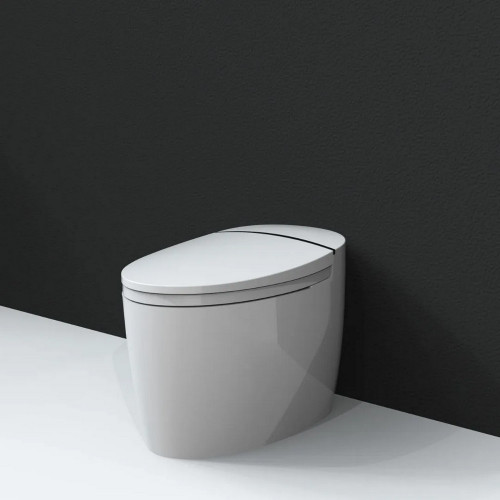 Умный напольный унитаз-биде BRUNNEN WAL BW-2502 Микролифт