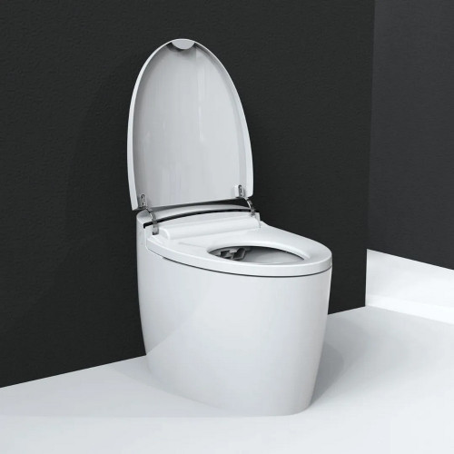 Умный напольный унитаз-биде BRUNNEN WAL BW-2502 Микролифт