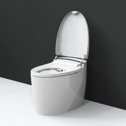 Умный напольный унитаз-биде BRUNNEN WAL BW-2502 Микролифт