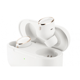 Наушники 1MORE EVO TRUE Wireless Earbuds white