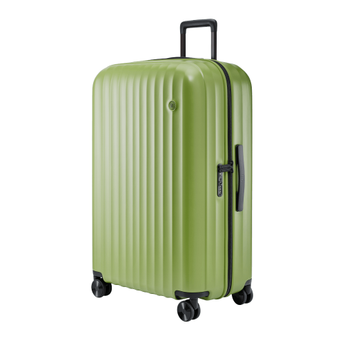 Чемодан NINTYGO Elbe Luggage