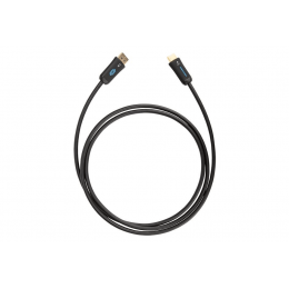 Active Converter Cable, DisplayPort to HDMI®, 18 Gbps, 6 ft (1.8 m)