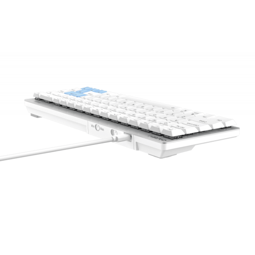 Клавиатура Dareu EK868 White-Blue