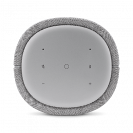 Портативная акустическая система Harman/Kardon Citation 100 MKII Grey