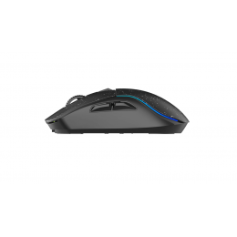 Мышь игровая беспроводная Dareu A950 Black