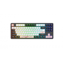 Клавиатура механическая Dareu A87X Black-White RGB