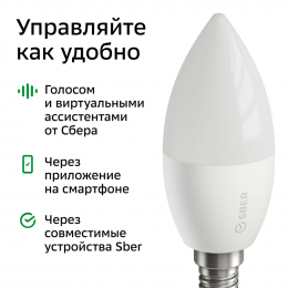 Лампа SBER E14 C37
