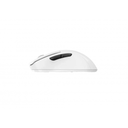 Мышь игровая беспроводная Dareu A918X White