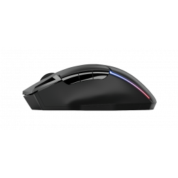 Мышь беспроводная игровая Trust GXT 131 RANOO